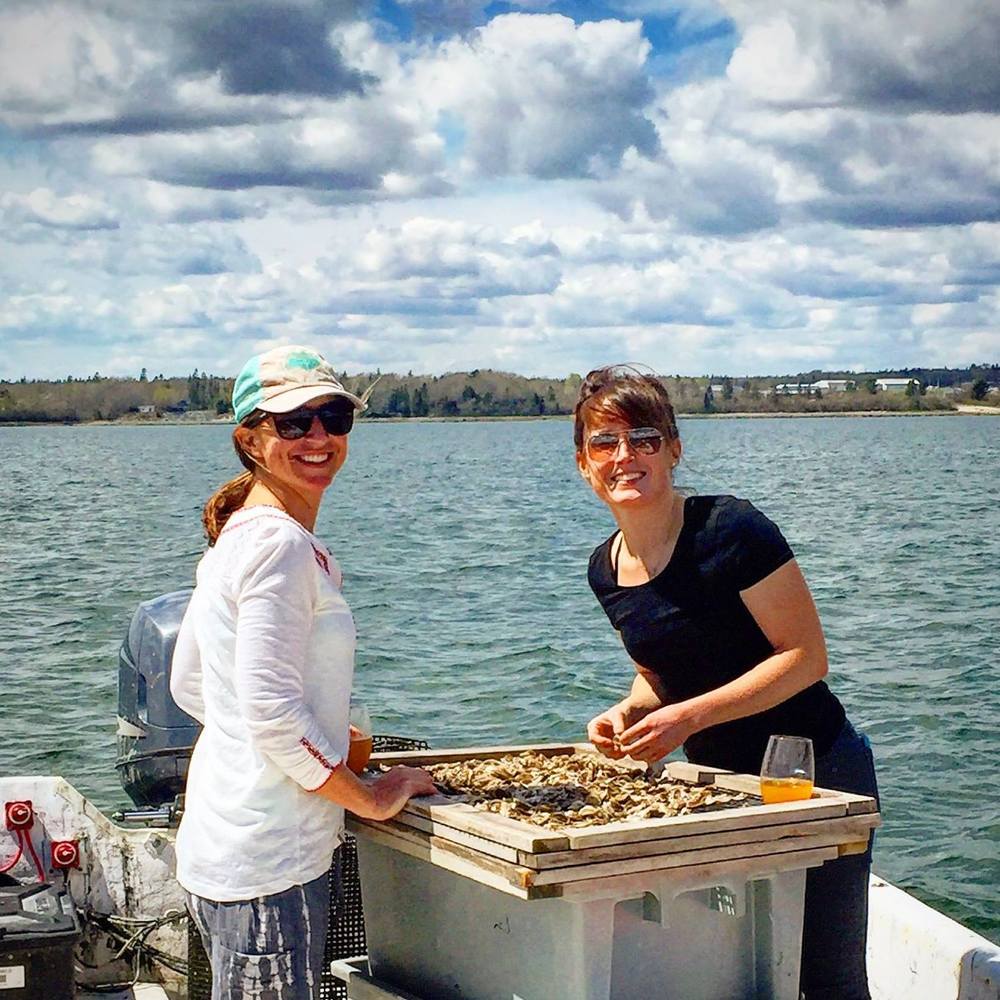 Meet your Posher, Katy